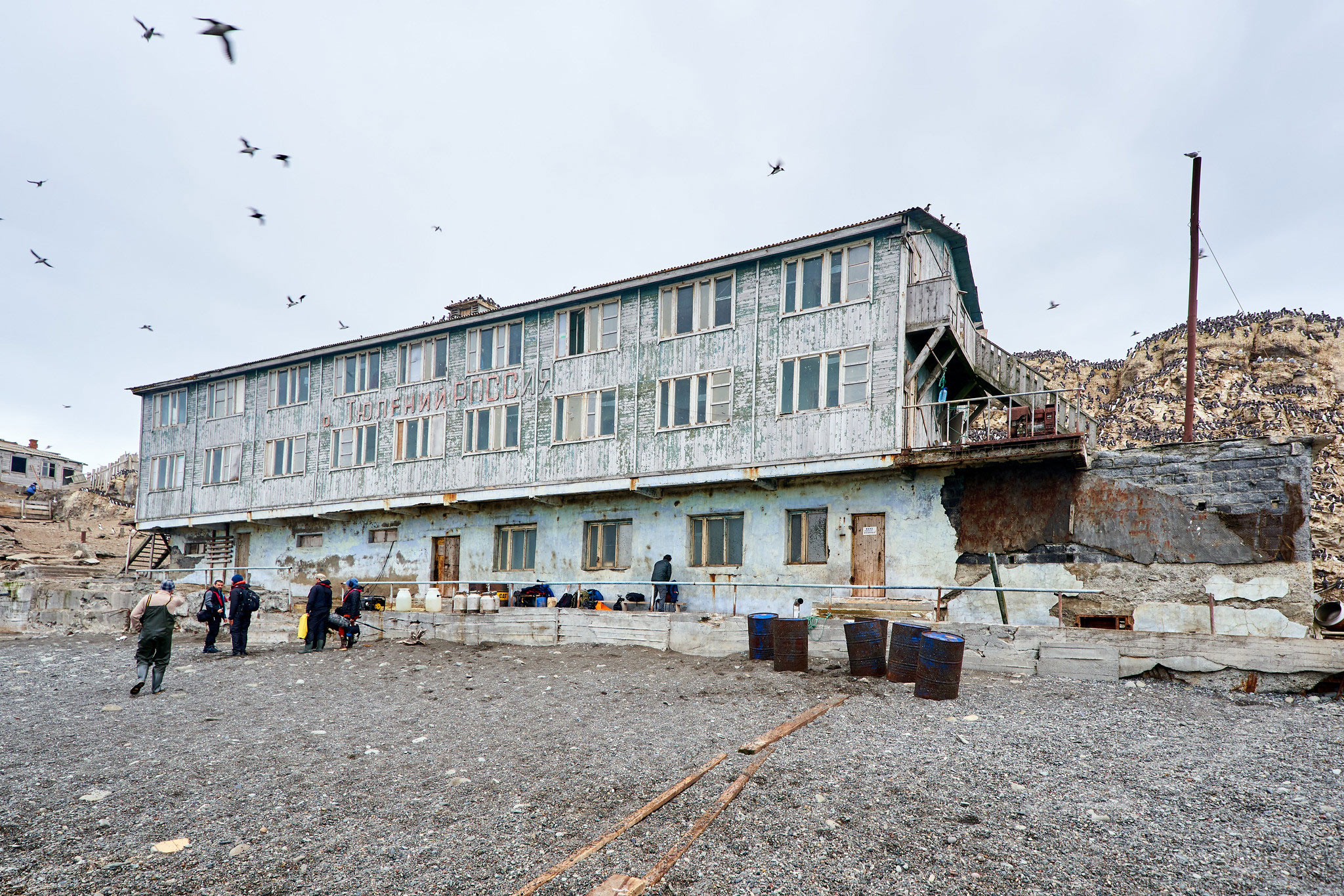 Tyuleniy Island, Сахалин (Остров Тюлений, Сахалин)
